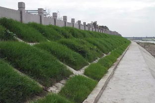 綿竹加強(qiáng)河道水環(huán)境治理，推進(jìn)生態(tài)環(huán)境檢測(cè)服務(wù)