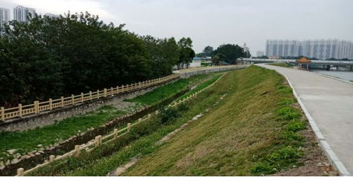 治水攻堅戰｜新華街水環境治理進行時，12月13日戰報及環境檢測服務動態