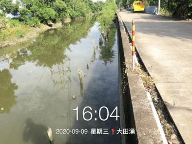 守護碧水清波 石岐河涌環境治理打響“四大戰役”，環境檢測服務保駕護航